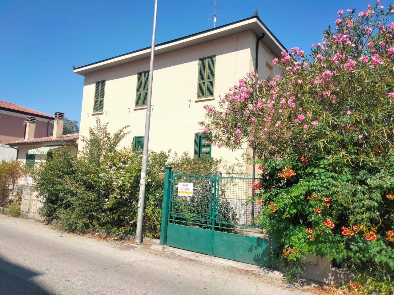 immagine annuncio 2 di 13