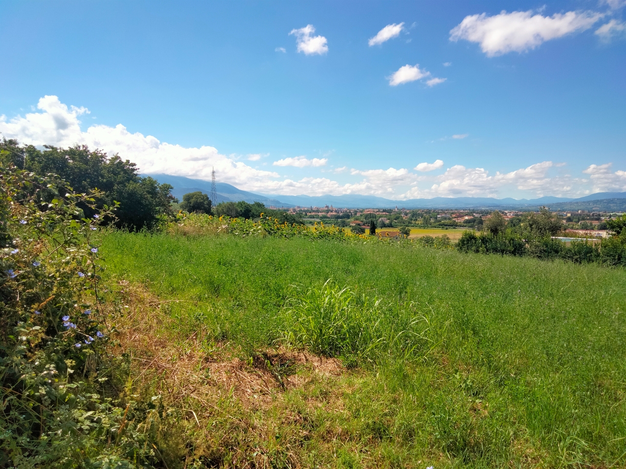 immagine annuncio 6 di 13