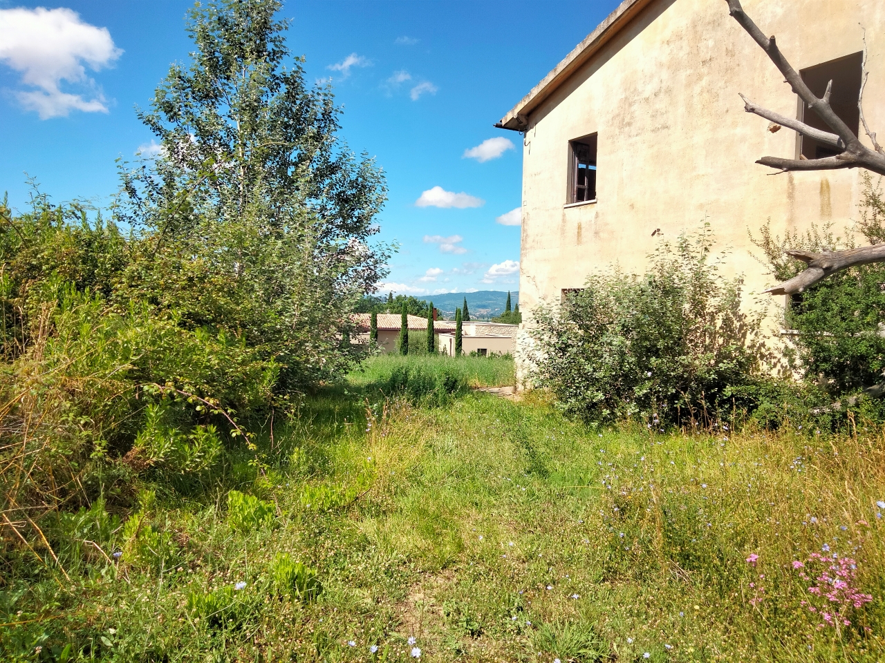 immagine annuncio 9 di 13