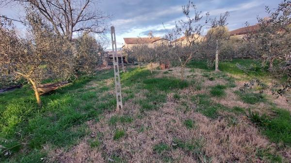 immagine annuncio 9 di 11