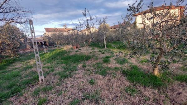 immagine annuncio 8 di 11