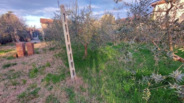 immagine annuncio 10 di 11