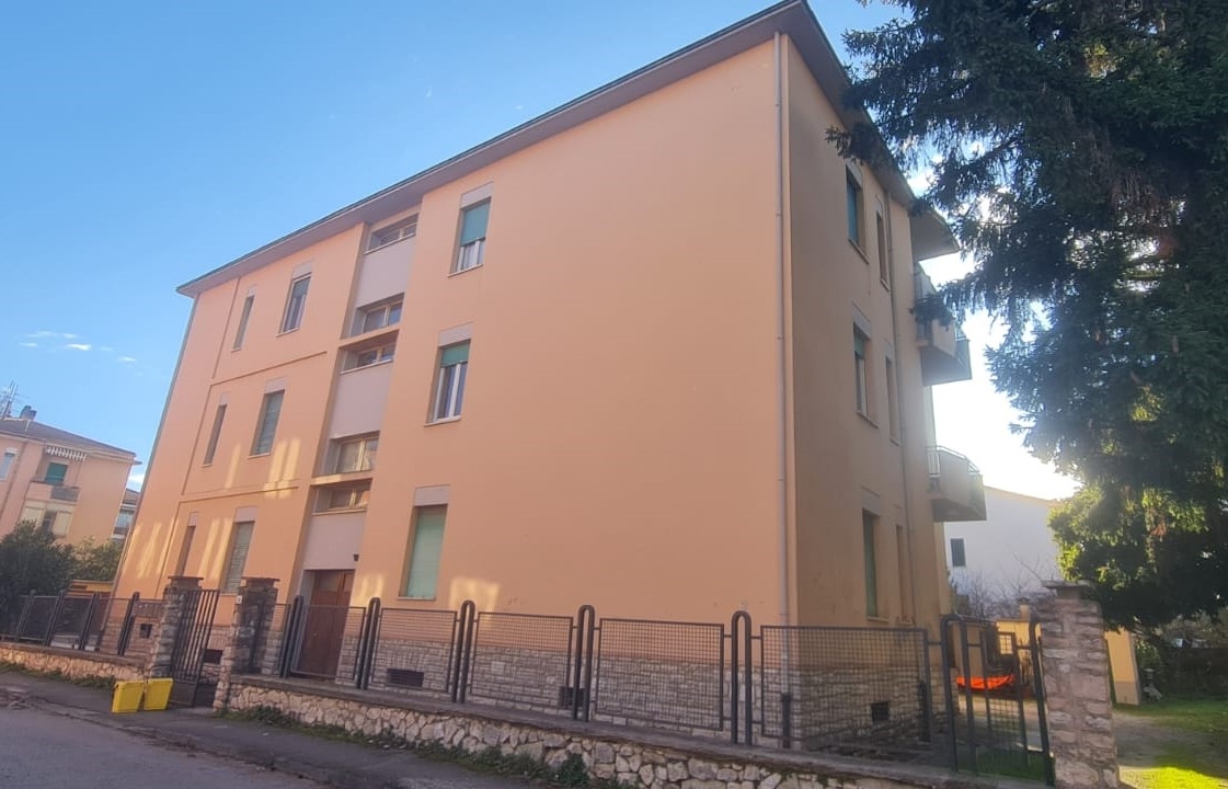 immagine annuncio 1 di 14