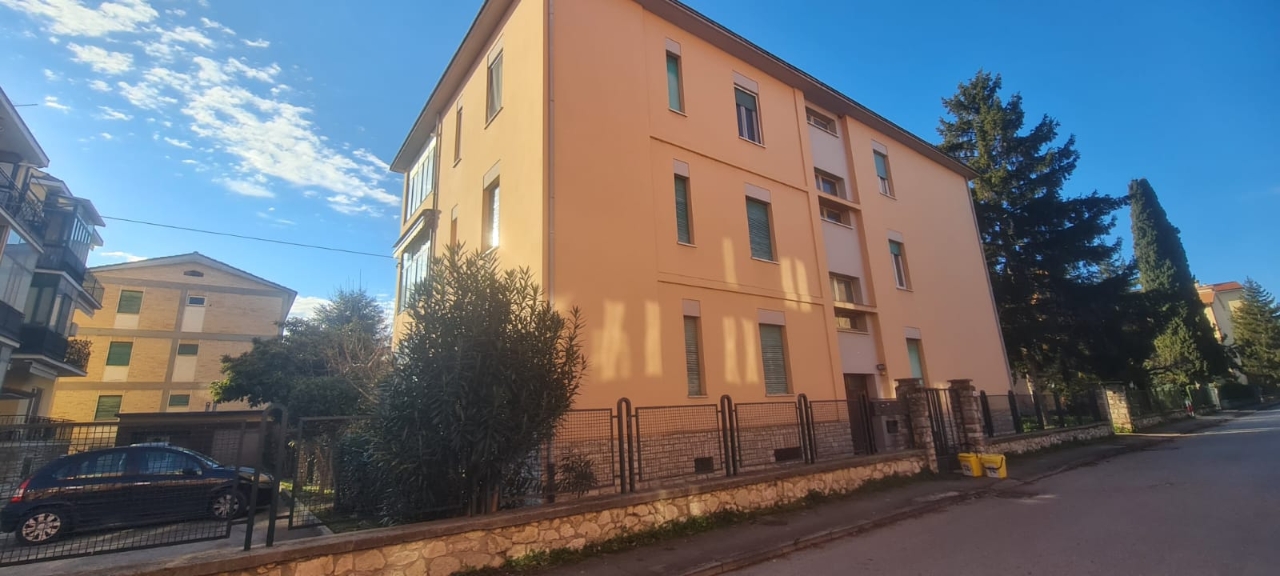 immagine annuncio 2 di 14