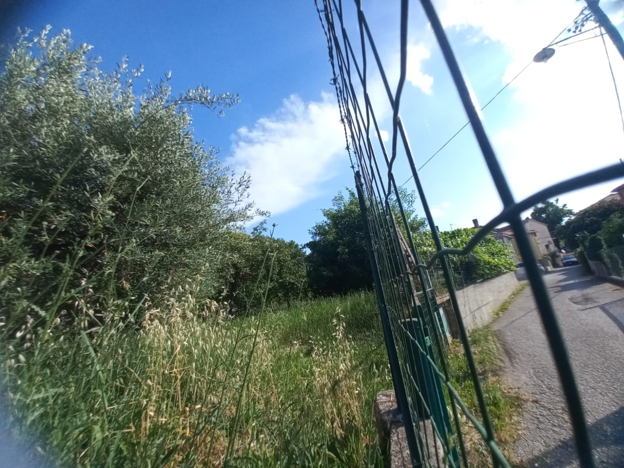 immagine annuncio 2 di 6