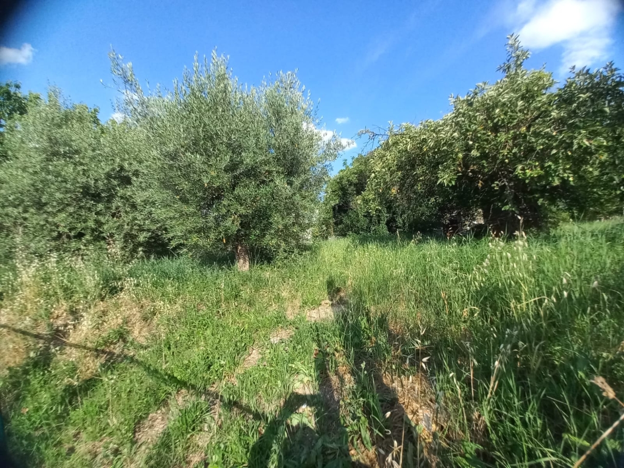 immagine annuncio 5 di 6