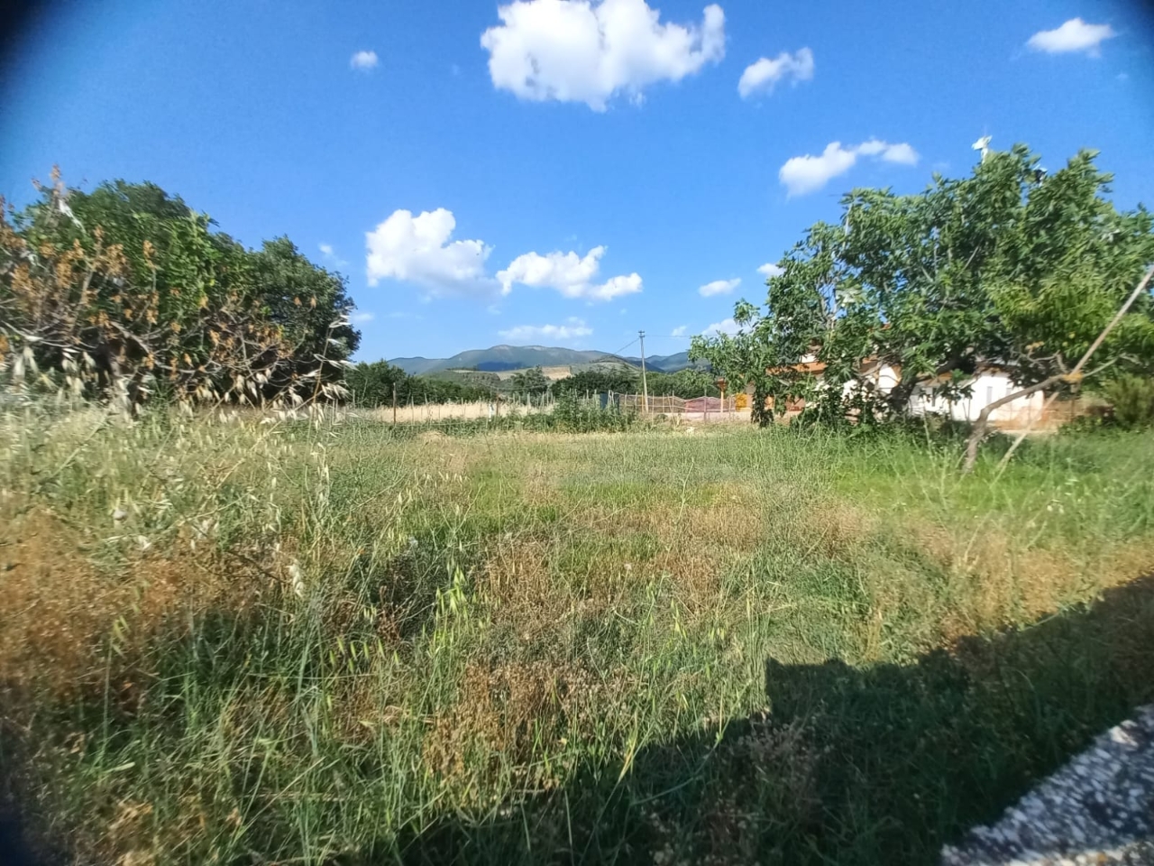 immagine annuncio 8 di 12