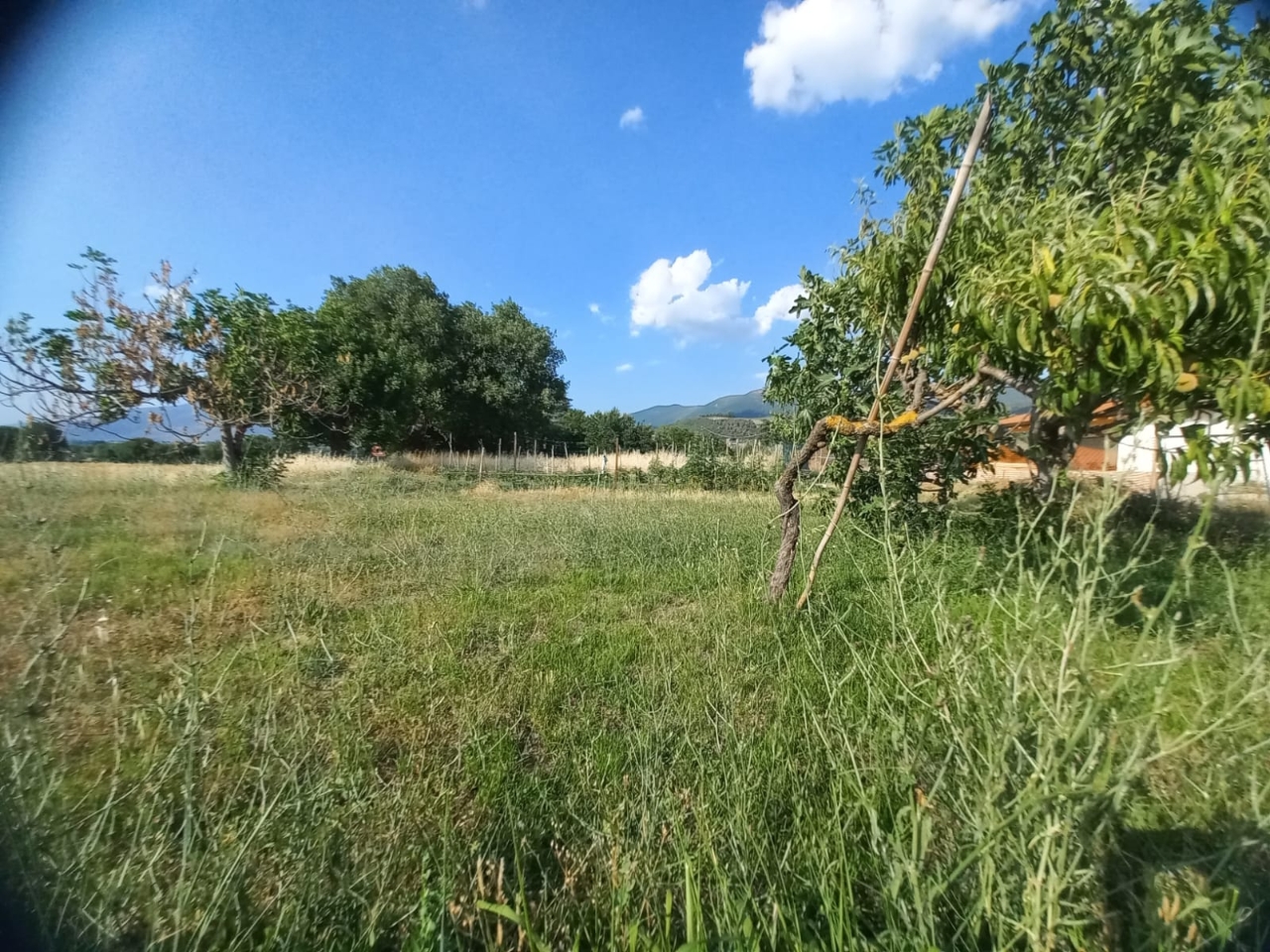 immagine annuncio 5 di 12