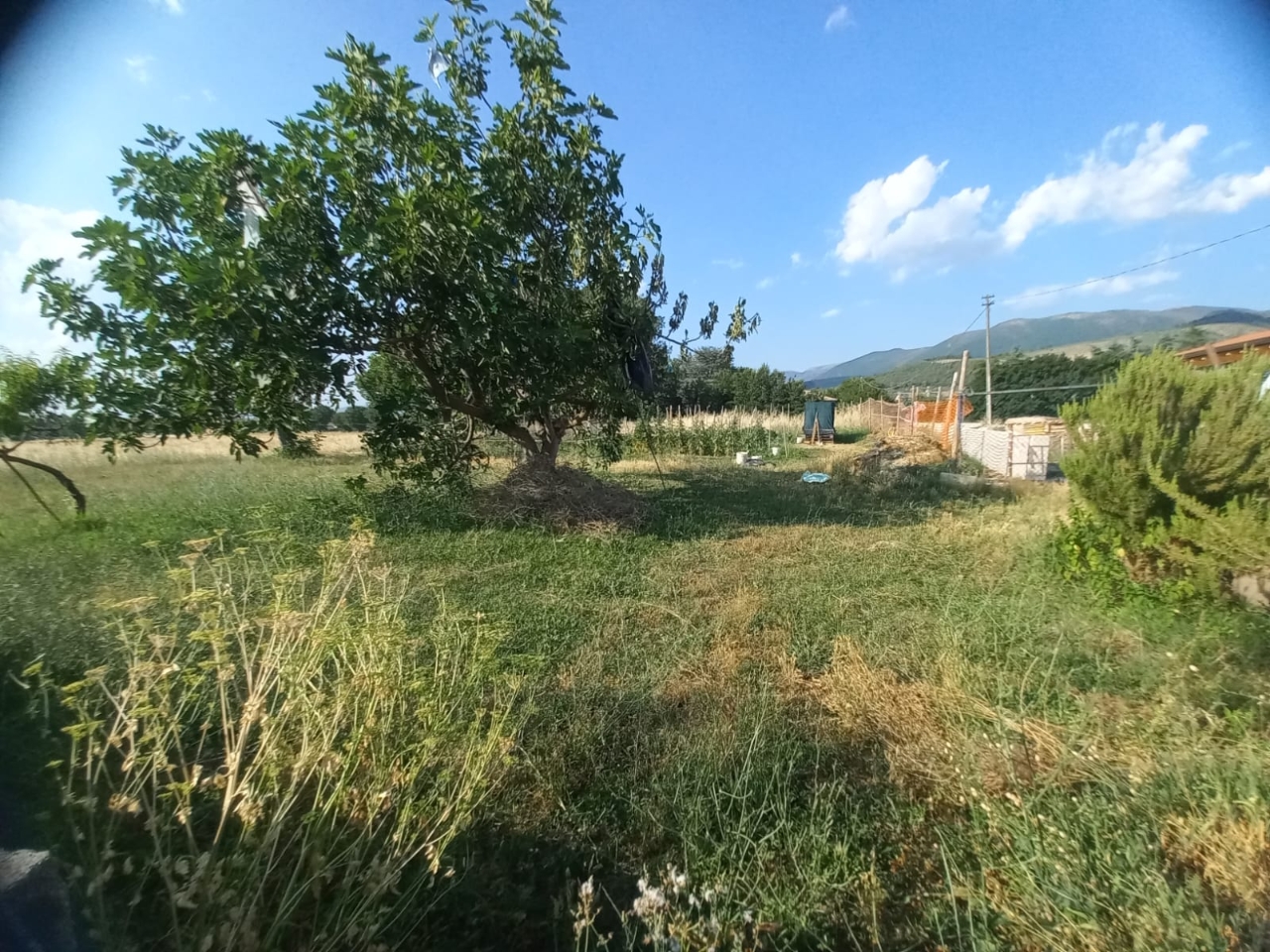 immagine annuncio 9 di 12