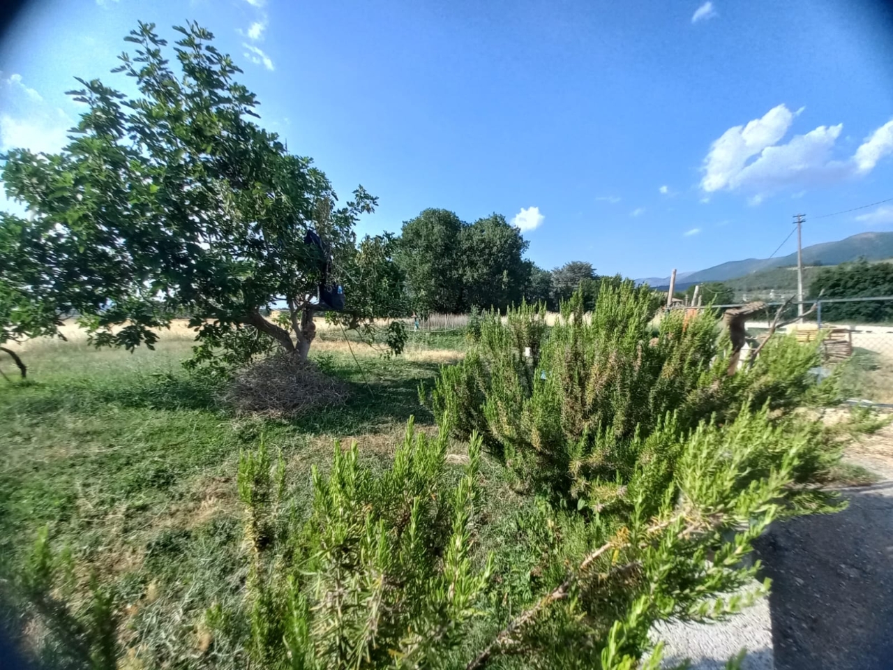 immagine annuncio 7 di 12
