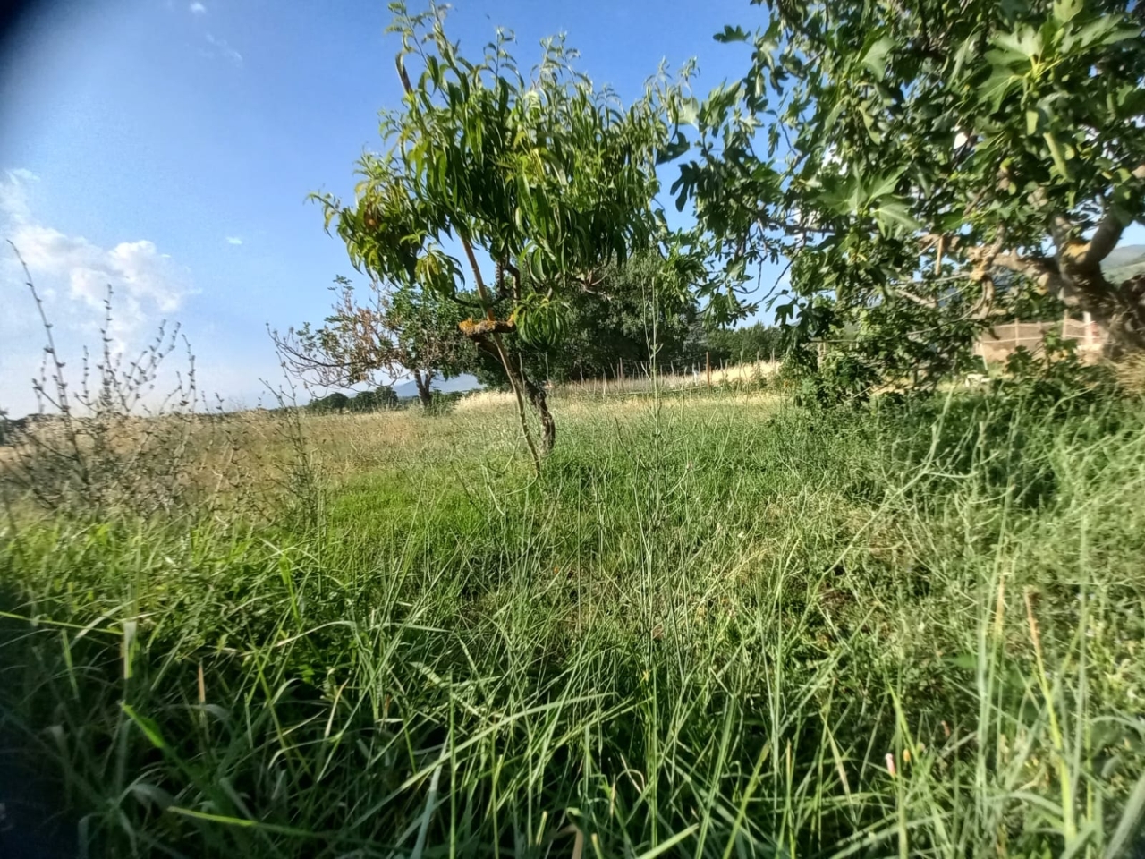 immagine annuncio 3 di 12