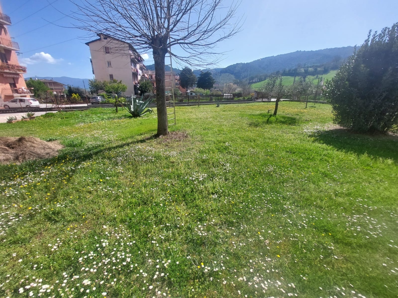 immagine annuncio 11 di 15