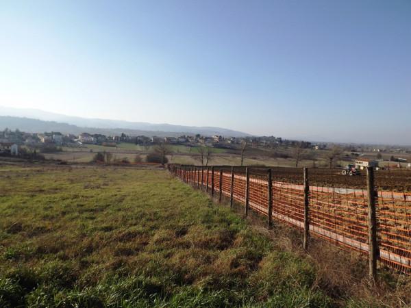 immagine annuncio 4 di 9