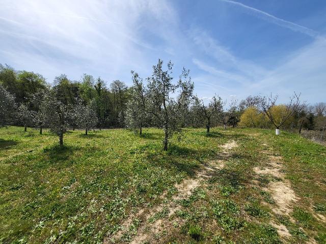 Agricultural land in {3}, Via dei Princi - Photo 1