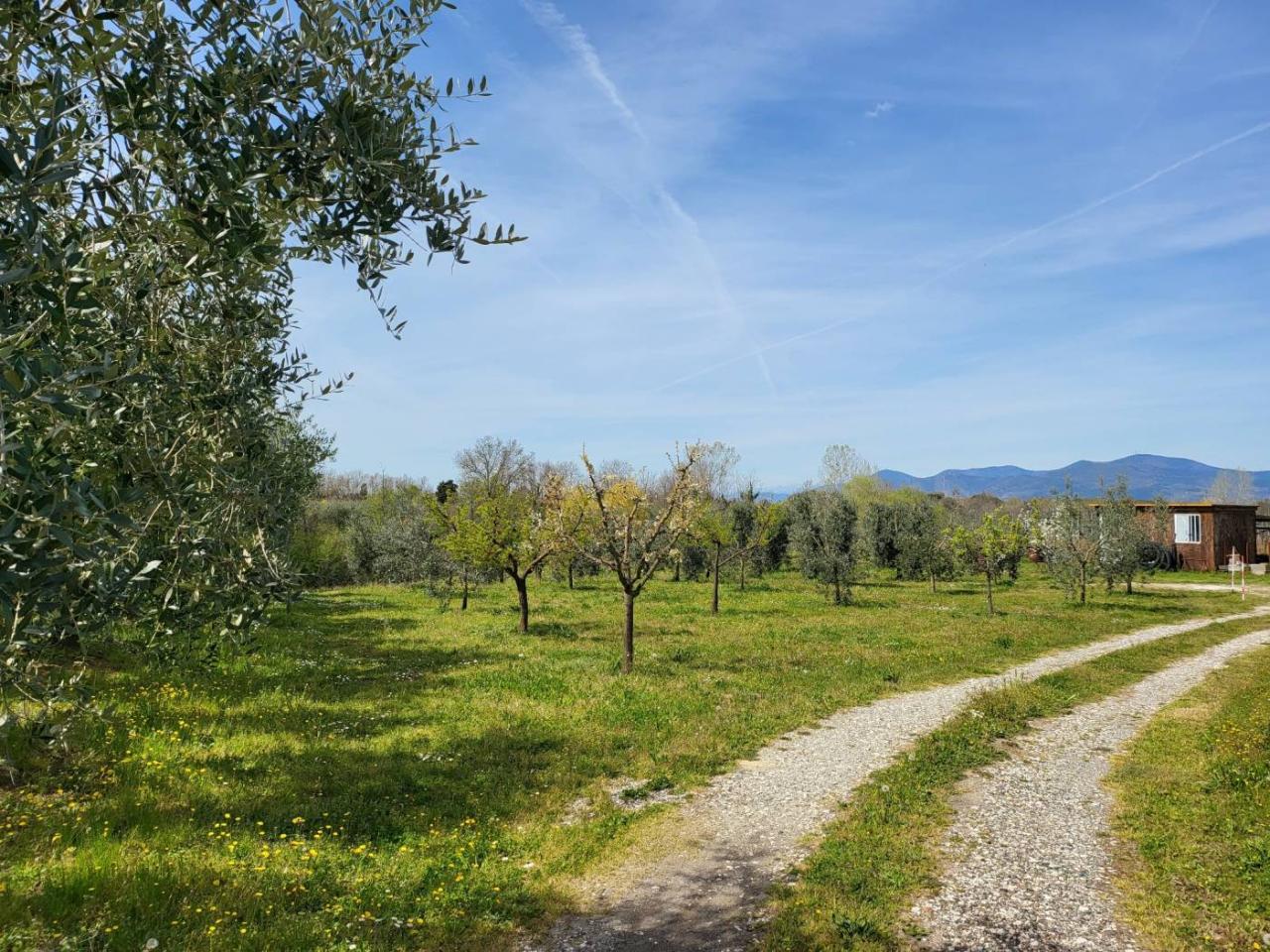 immagine annuncio 7 di 8