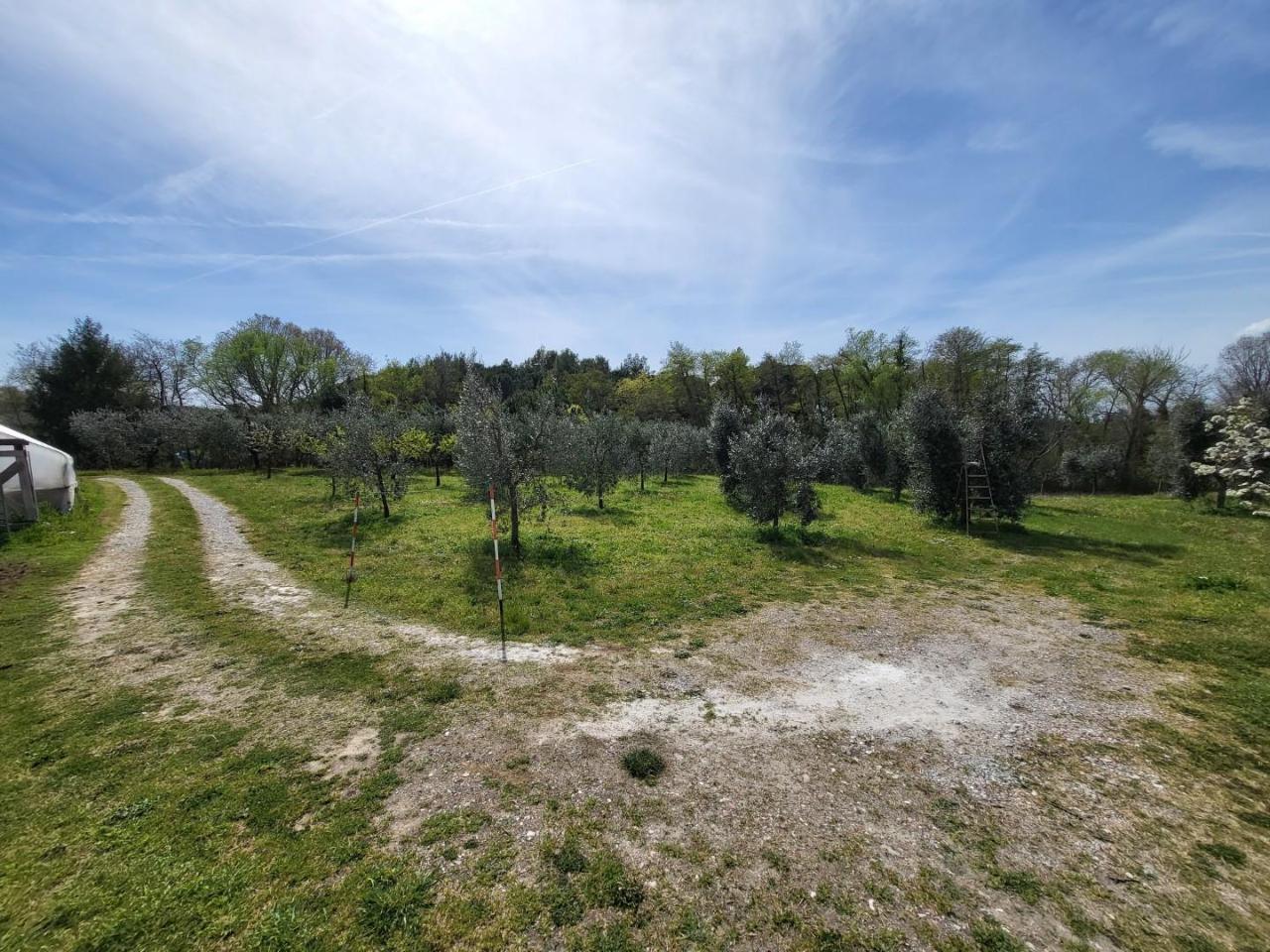 immagine annuncio 5 di 7