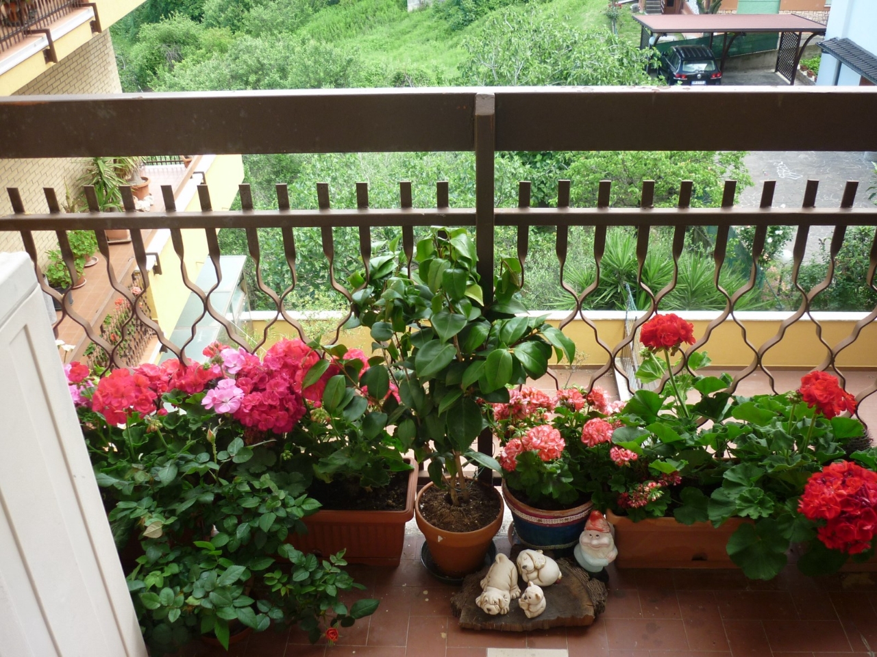 immagine annuncio 9 di 11