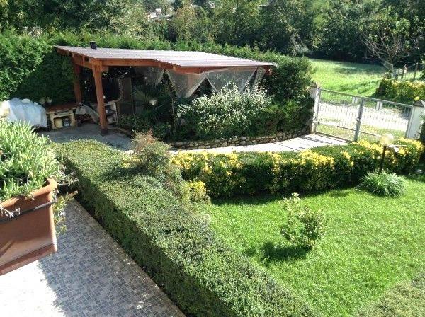 immagine annuncio 6 di 7