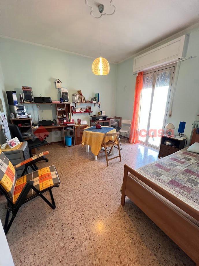 immagine annuncio 6 di 14