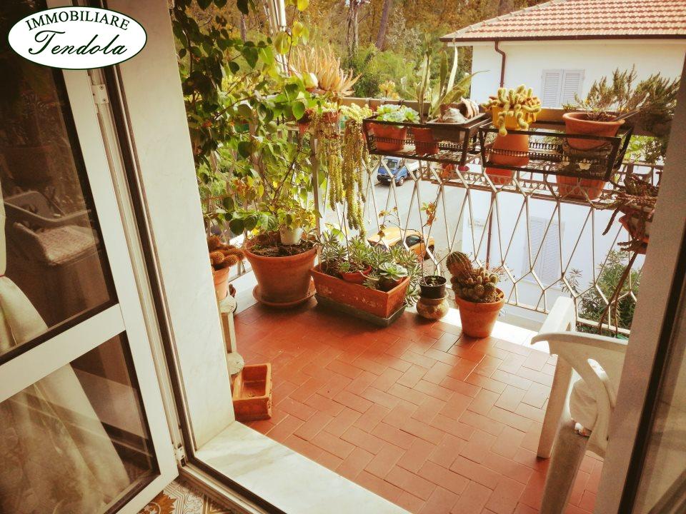 immagine annuncio 3 di 14