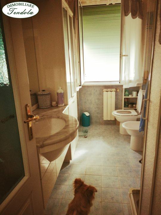 immagine annuncio 12 di 14