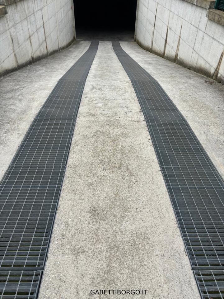 immagine annuncio 5 di 6
