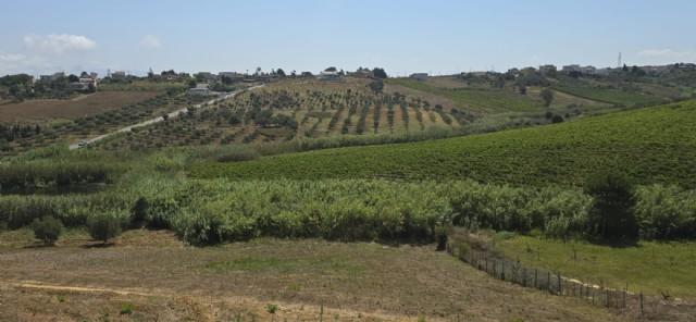 immagine annuncio 6 di 13