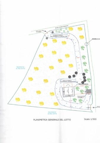 immagine annuncio 5 di 8