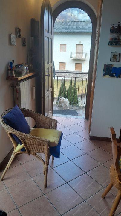 immagine annuncio 12 di 15