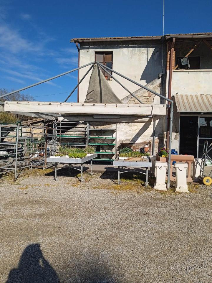 Azienda agricola in , Martinsicuro, {3} - Foto 1
