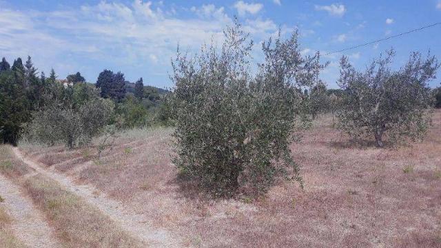 Terreno agricolo in {3}, Località Poggiarino - Foto 1