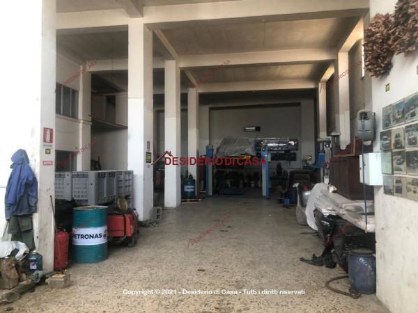 Negozio in Località Bivio Madonnuzza 225, Petralia Soprana, {3} - Foto 1