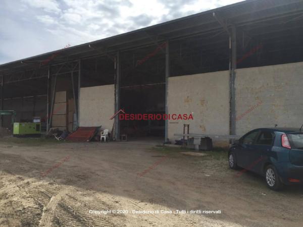 Capannone in Viale dell'Artigianato, Cefalu', {3} - Foto 2