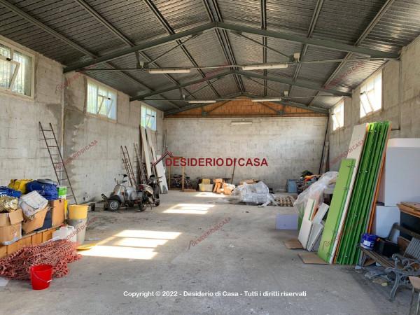 Capannone in Viale dell'Imprenditoria, Cefalu', {3} - Foto 2