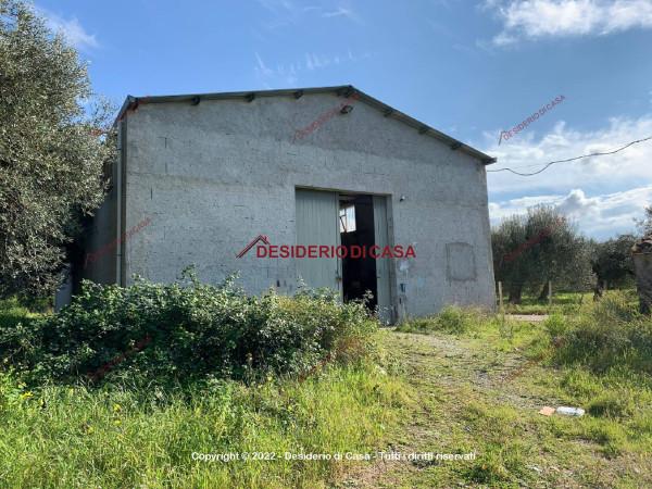 Capannone in Viale dell'Imprenditoria, Cefalu', {3} - Foto 1