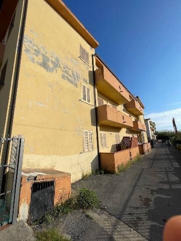 3-room flat in Via degli Ulivi 179, Santa Maria del Cedro - Photo 1