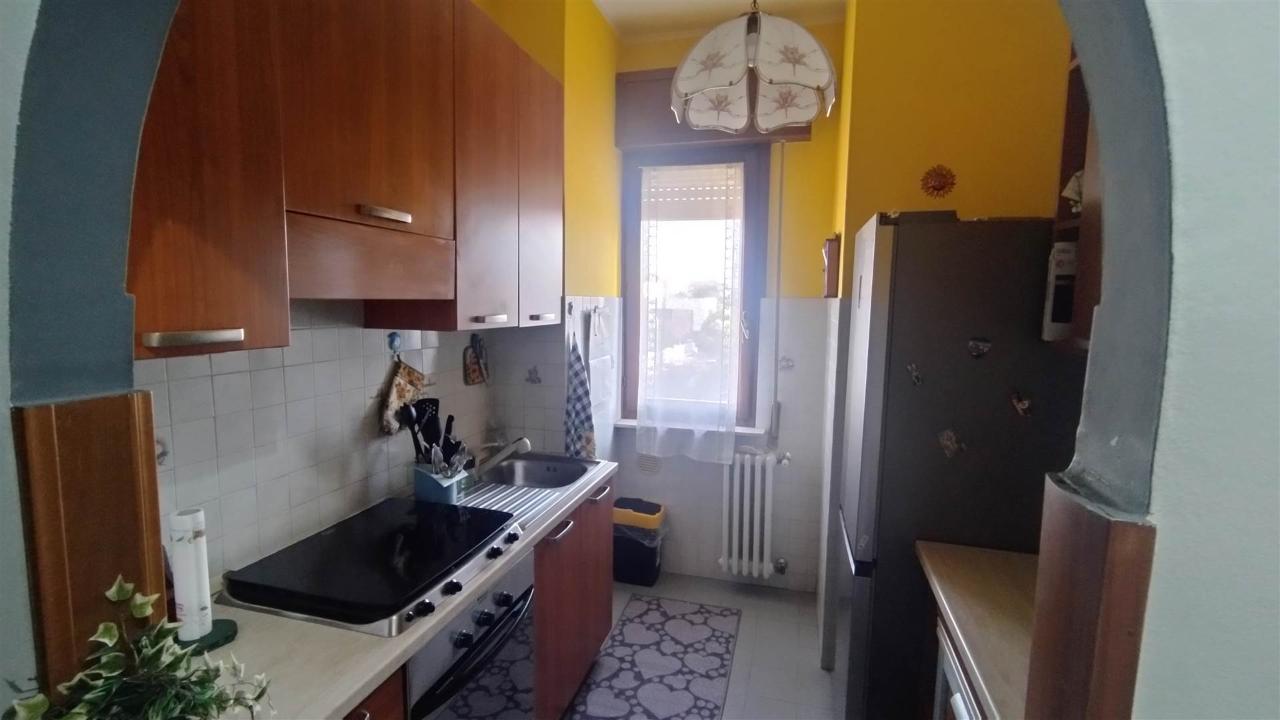 immagine annuncio 7 di 14