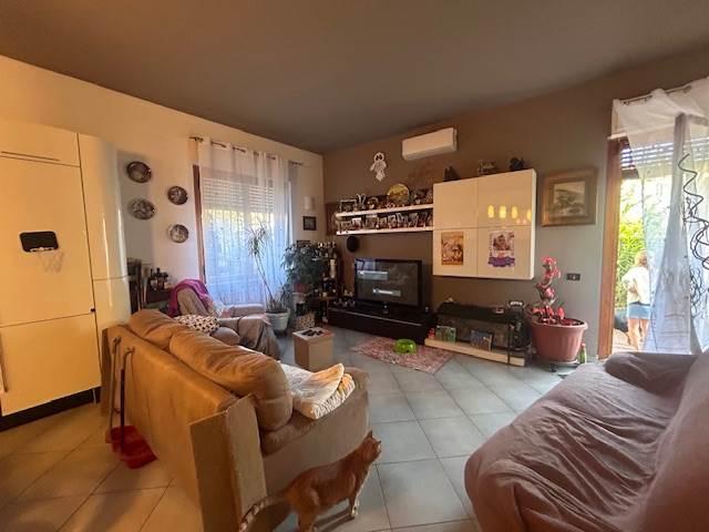 immagine annuncio 2 di 13