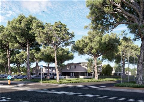 immagine annuncio 3 di 15