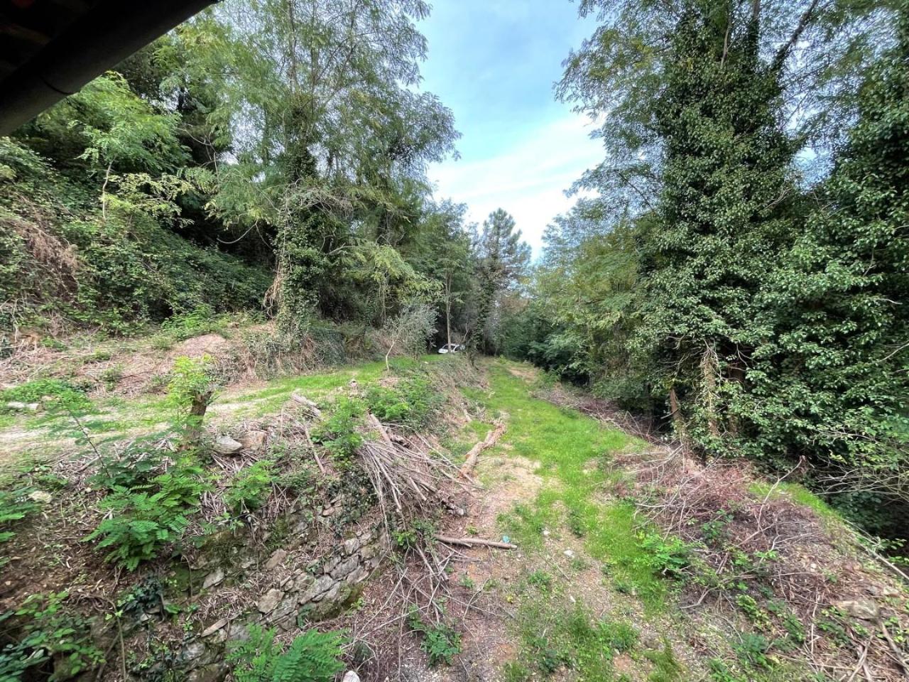 immagine annuncio 6 di 13