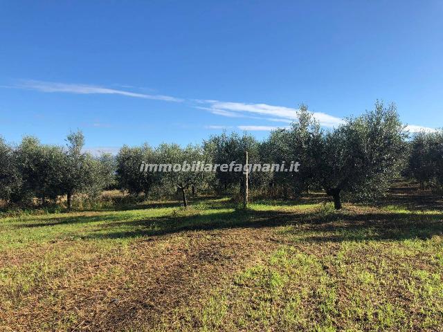 Building land in Via Colle San Clemente, Velletri - Photo 1