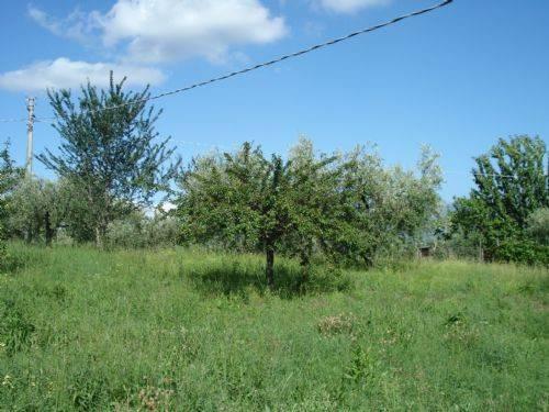 Terreno agricolo in Via di Contrada Comune, Velletri - Foto 1