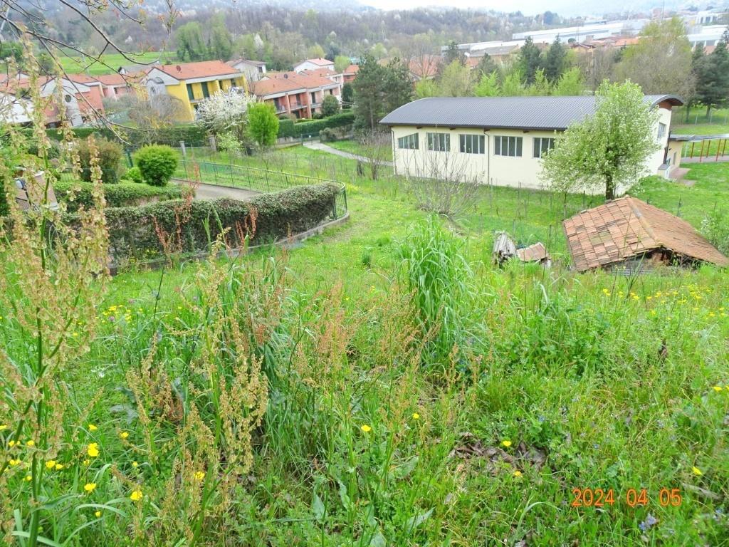 immagine annuncio 4 di 15