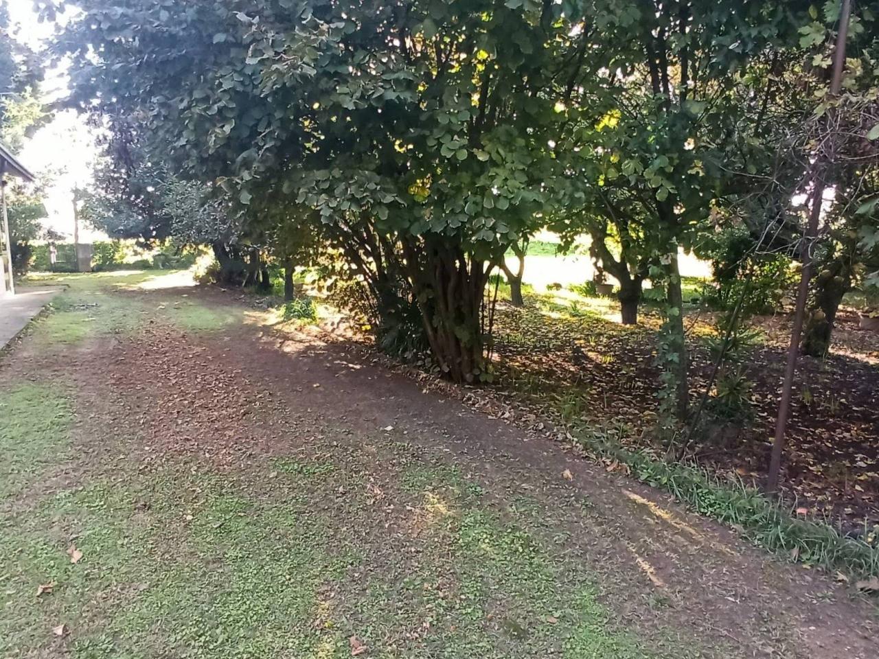 immagine annuncio 10 di 11
