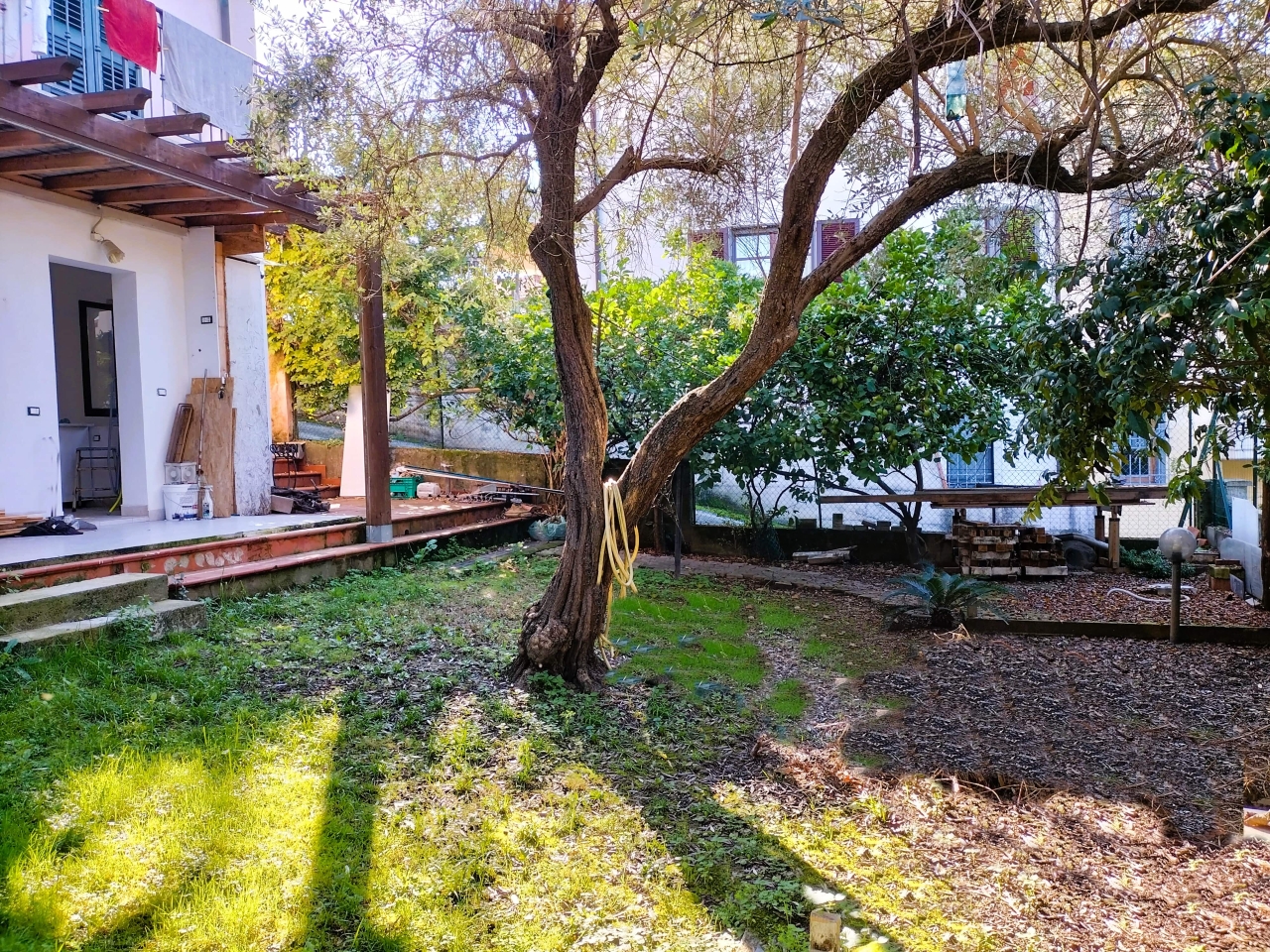 immagine annuncio 3 di 13