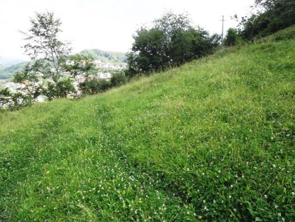 Terreno agricolo in vendita a Berbenno