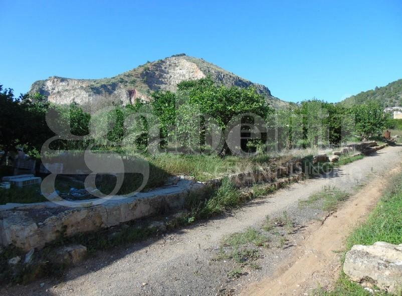 immagine annuncio 2 di 7