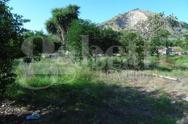 immagine annuncio 3 di 7