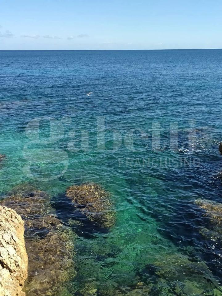 immagine annuncio 6 di 11