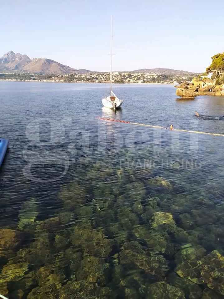 immagine annuncio 3 di 11